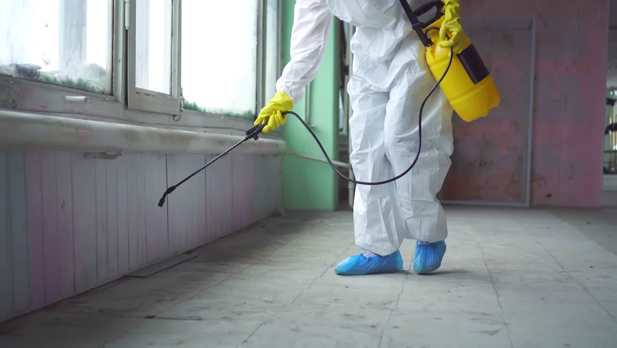 Tratamiento de ratones en Mataró — Fumigaciones Mataró