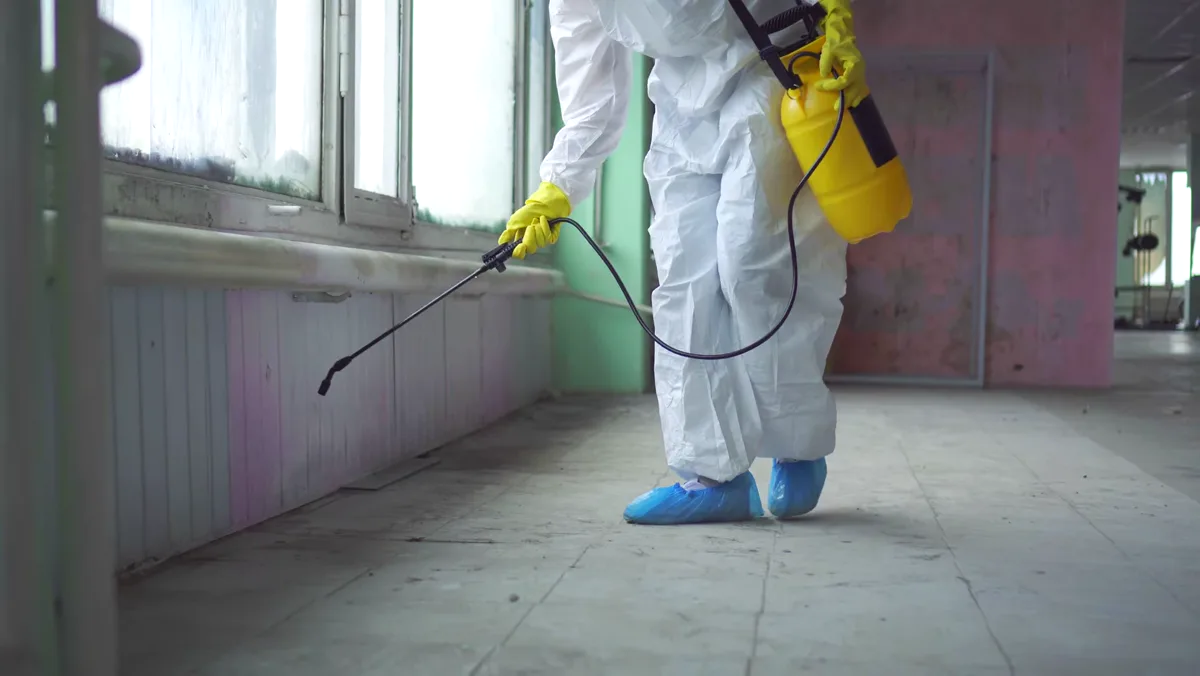 Control de aves en Mataró — Fumigaciones Mataró