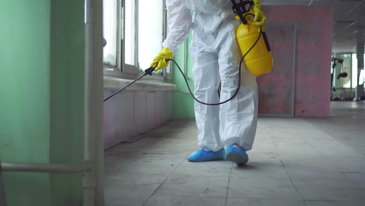 Tratamiento de avispa asiática en Mataró — Fumigaciones Mataró